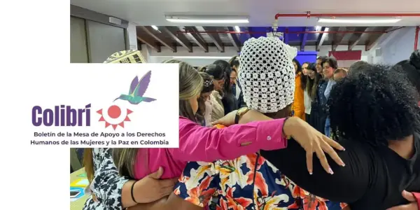 Boletín informativo de la Mesa de Apoyo - Colibrí